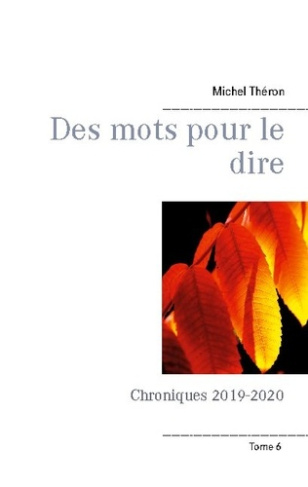 DES MOTS POUR LE DIRE - CHRONIQUES 2019-2020