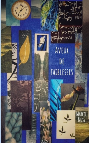 Une vie de poésie : Aveux de faiblesses