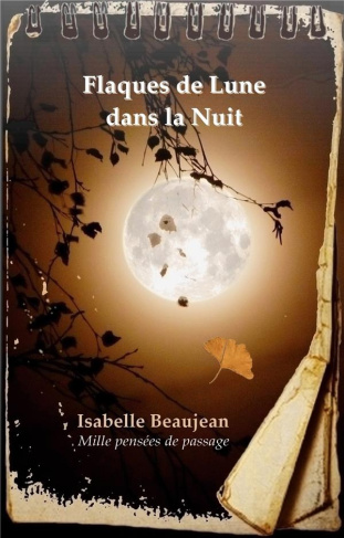 Flaques de Lune dans la Nuit. Mille pensées de passage