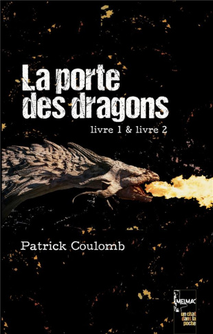 Un chat dans la poche Tomes 1 et 2 : La porte des dragons