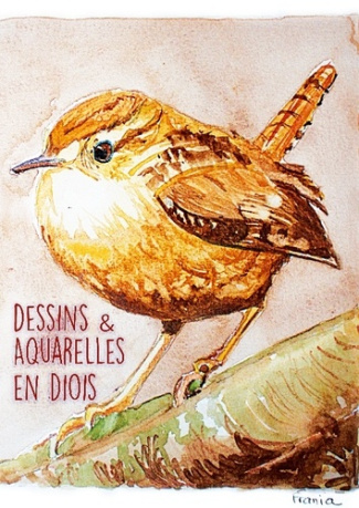 Dessins & Aquarelles en Diois. Atelier Escdd