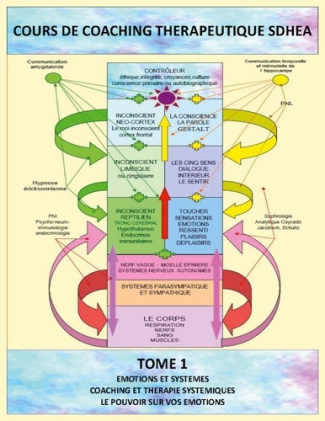 Analyse des systèmes et gestion des émotions. Coaching thérapeutique SDHEA
