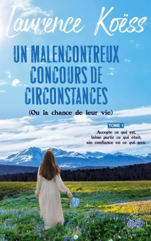 Un malenconcontreux concours de circonstances (ou la chance de leur vie). Accepte ce qui est, laisse
