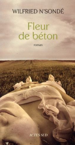 Fleur de béton