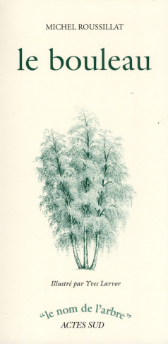 Le bouleau