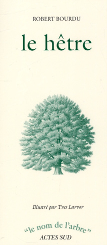 Le hêtre