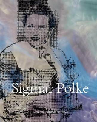 Sigmar Polke. Edition bilingue français-anglais