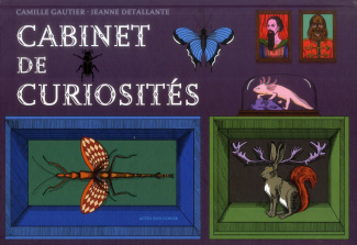 Cabinet de curiosités