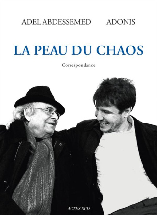 La peau du chaos. Correspondance