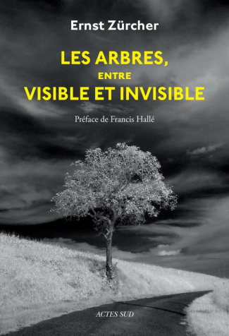 Les arbres, entre visible et invisible. S'étonner, comprendre, agir