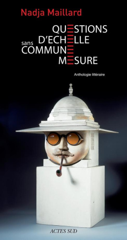 Questions d'échelle. Sans commune mesure