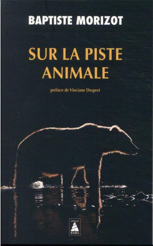 SUR LA PISTE ANIMALE
