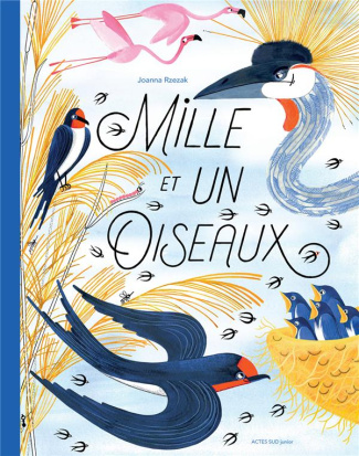 Mille et un oiseaux