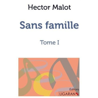 Sans famille. Tome 1