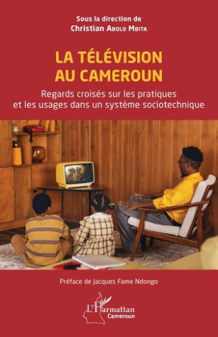 La télévision au Cameroun. Regards croisés sur les pratiques et les usages dans un système sociotech