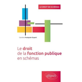 Le droit de la fonction publique en schémas