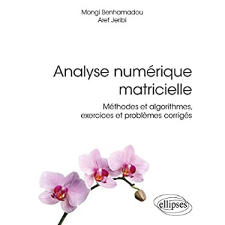 ANALYSE NUMERIQUE MATRICIELLE - METHODES ET ALGORITHMES, EXERCICES ET PROBLEMES CORRIGES