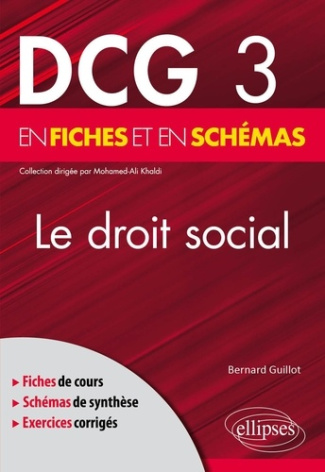 Le droit social en fiches et en schémas DCG 3