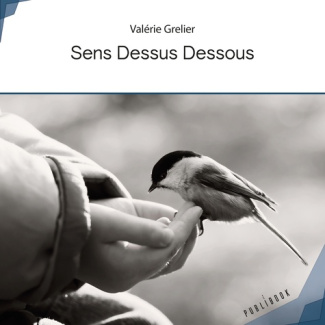 Sens Dessus Dessous