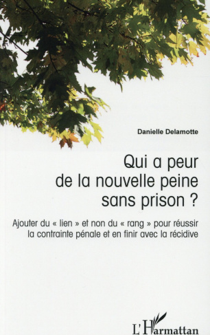 Qui a peur de la nouvelle peine sans prison ? Ajouter du "lien" et non du "rang" pour réussir la con