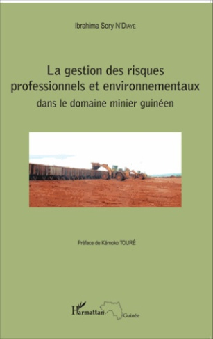 La gestion des risques professionnels et environnementaux dans le domaine minier guinéen