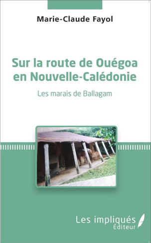 Sur la route de Ouégoa en Nouvelle-Calédonie