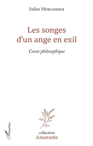 Les songes d'un ange en exil. Conte philosophique