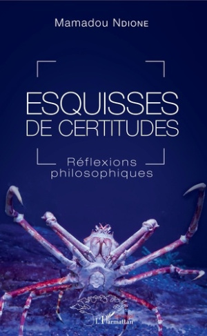 Esquisses de certitudes. Réflexions philosophiques