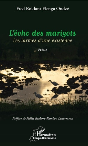 L'écho des marigots. Les larmes d'une existence