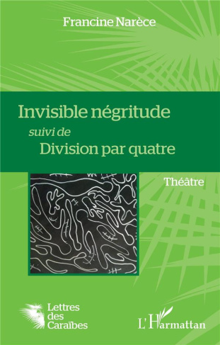 Invisible négritude suivi de Division par quatre