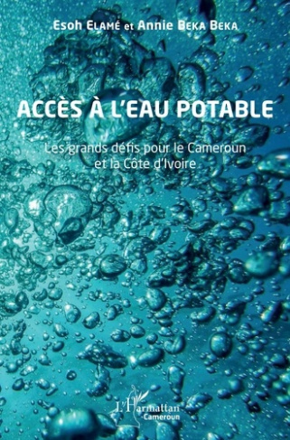 Accès à l'eau potable. Les grands défis pour le Cameroun et la Côte d'Ivoire