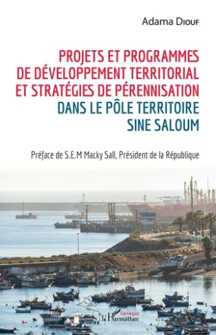 Projets et programmes de développement territorial et stratégies de pérennisation dans le pôle terri