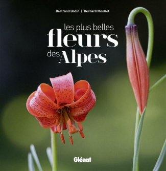 Les plus belles fleurs des Alpes