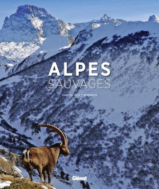 Alpes sauvages