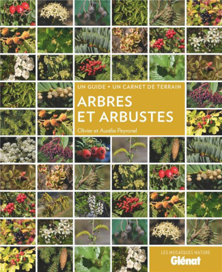 Arbres et arbustes. Un guide   un carnet de terrain