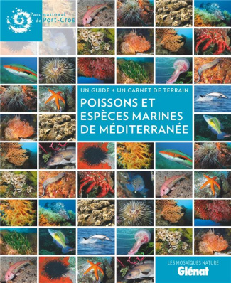 Poissons et espèces marines en Méditerranée. Un guide   un carnet de terrain