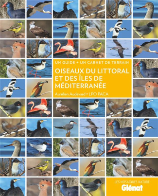 Oiseaux du littoral et des îles de Méditerranée. Un guide   un carnet de terrain