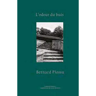 L'odeur du buis. L'abbaye de Jumièges par Bernard Plossu