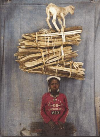 How much can you carry ?