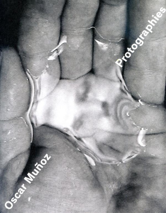 Protographies. Edition bilingue français-anglais