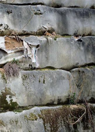 La fabrique du pré. Edition bilingue français-anglais