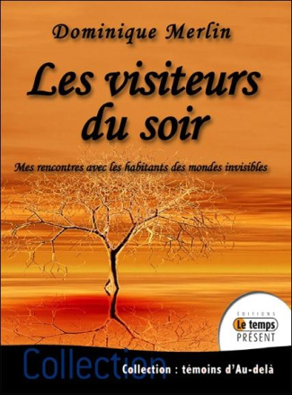 Les visiteurs du soir. Rencontres avec les habitants des mondes invisibles
