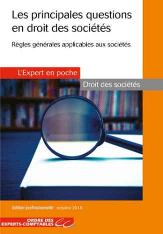 Les principales questions en droit des sociétés. 3e édition
