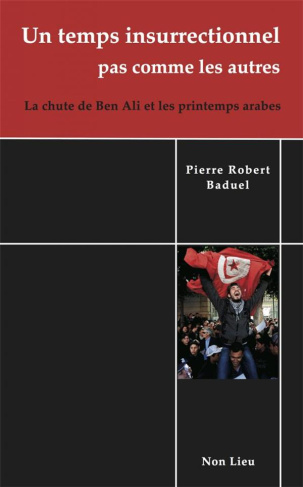 Un temps insurrectionnel pas comme les autres. La chute de Ben Ali et les printemps arabes