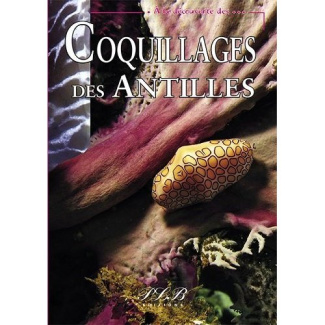 Coquillages des Antilles françaises