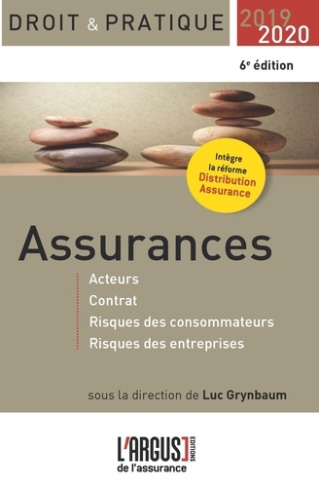Assurances. Acteurs, contrat, risques des consommateurs, risques des entreprises, Edition 2019-2020