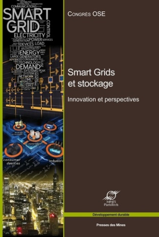 Smart Grids et stockage. Innovations et perspectives, 12e édition