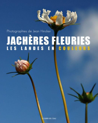 Jachères fleuries. Les Landes en couleurs