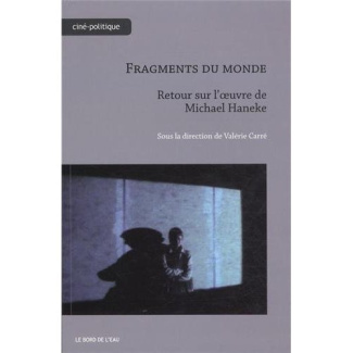 Fragments du monde. Retour sur l'oeuvre de Michael Haneke