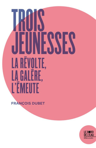 Trois jeunesses. La révolte, la galère, l'émeute